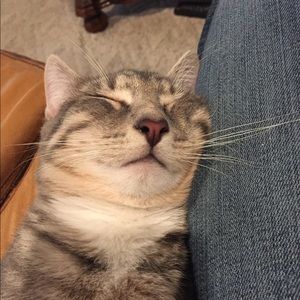 Meet your Posher, Catherine